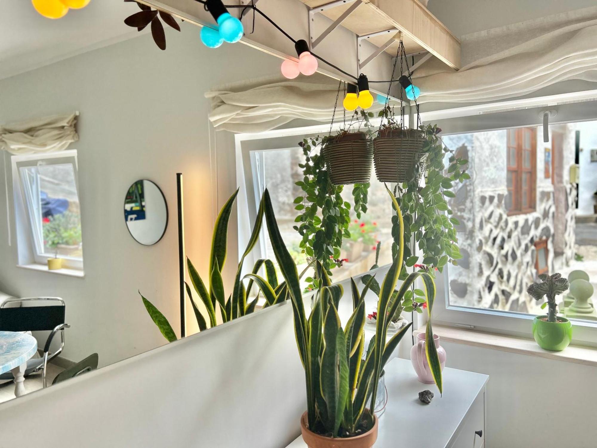 Apartamento Perro Y Osito Garachico  Exterior foto