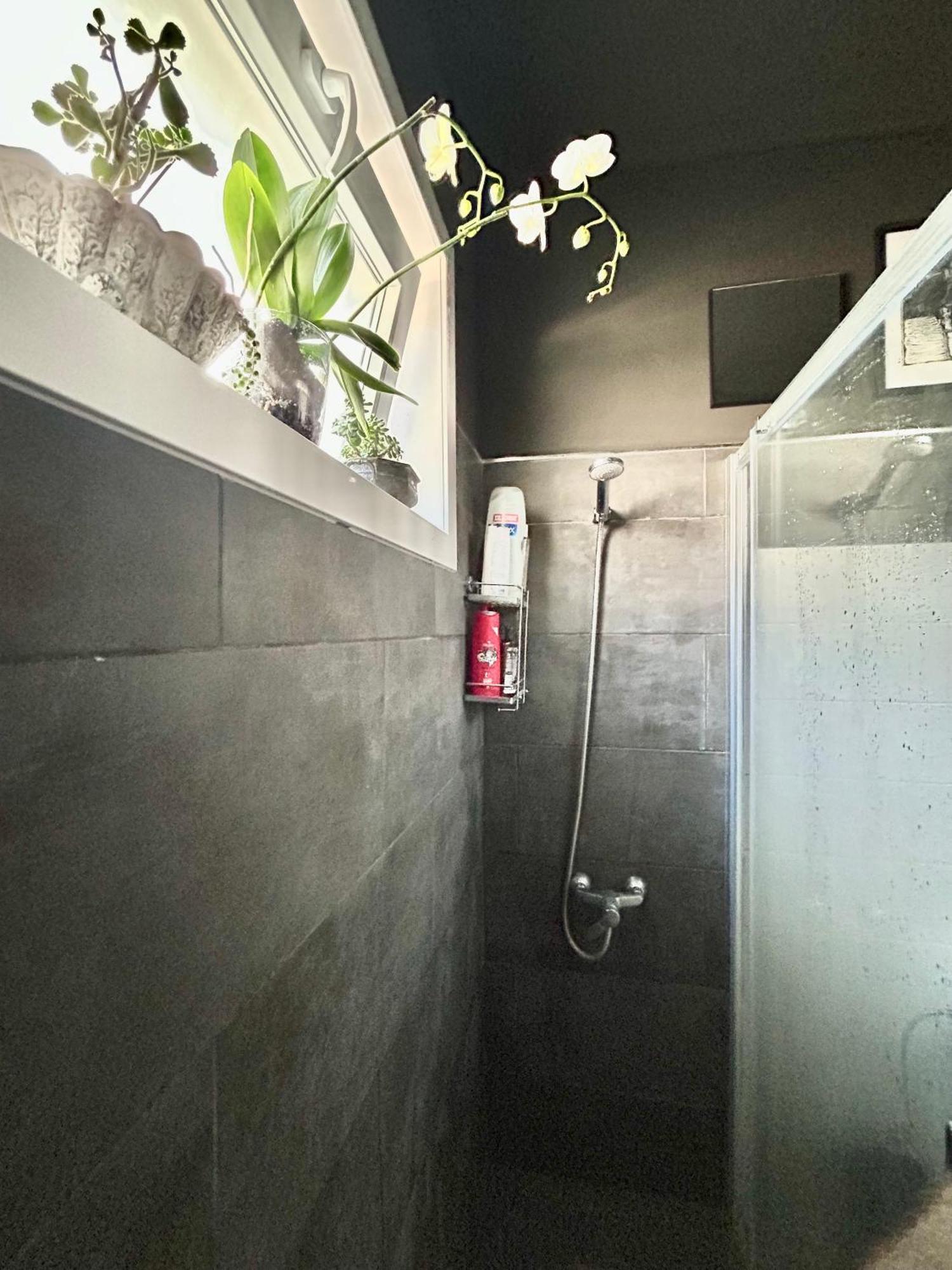 Apartamento Perro Y Osito Garachico  Exterior foto