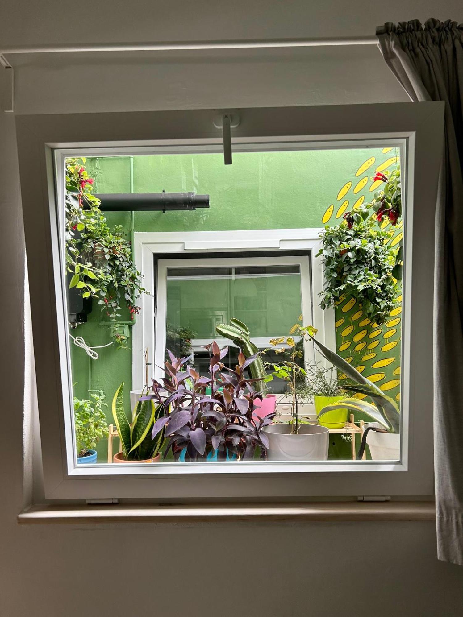 Apartamento Perro Y Osito Garachico  Exterior foto