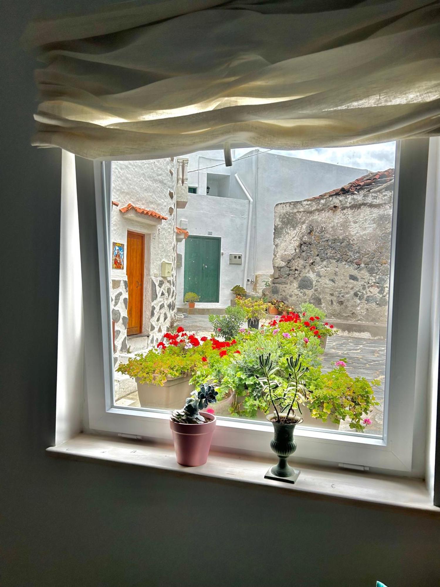 Apartamento Perro Y Osito Garachico  Exterior foto
