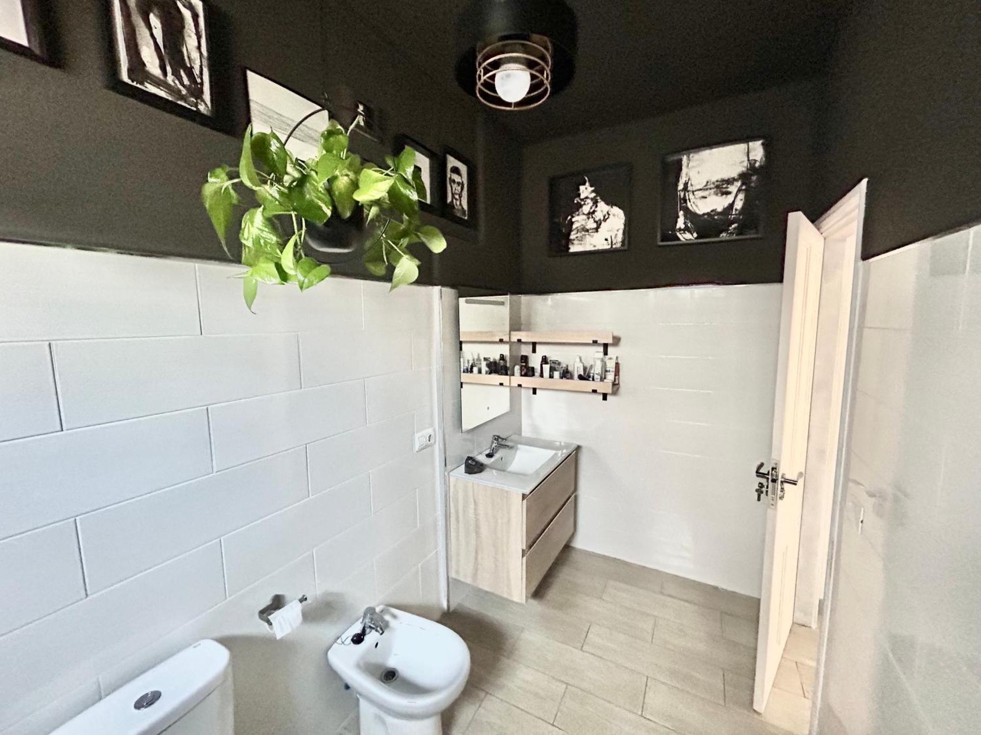 Apartamento Perro Y Osito Garachico  Exterior foto