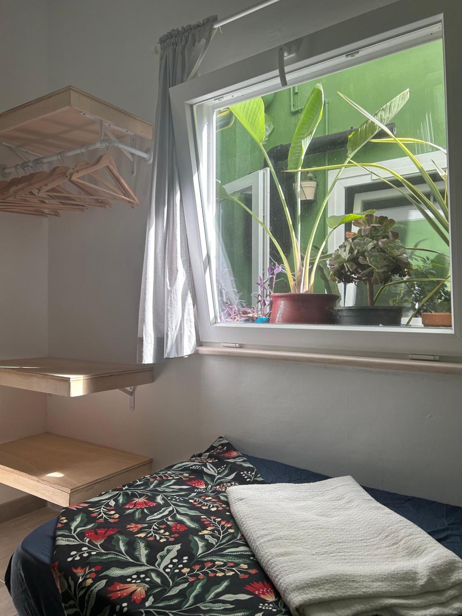 Apartamento Perro Y Osito Garachico  Exterior foto